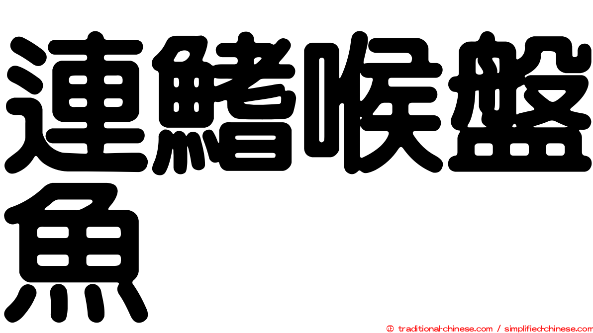 連鰭喉盤魚