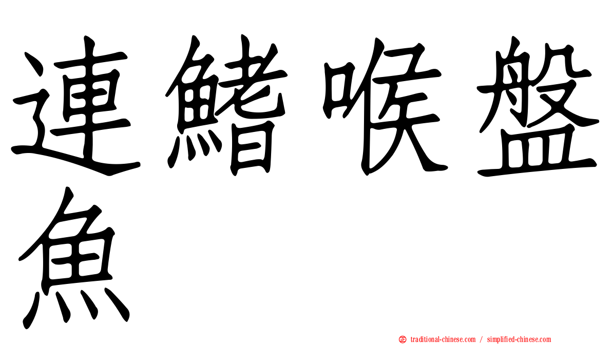 連鰭喉盤魚