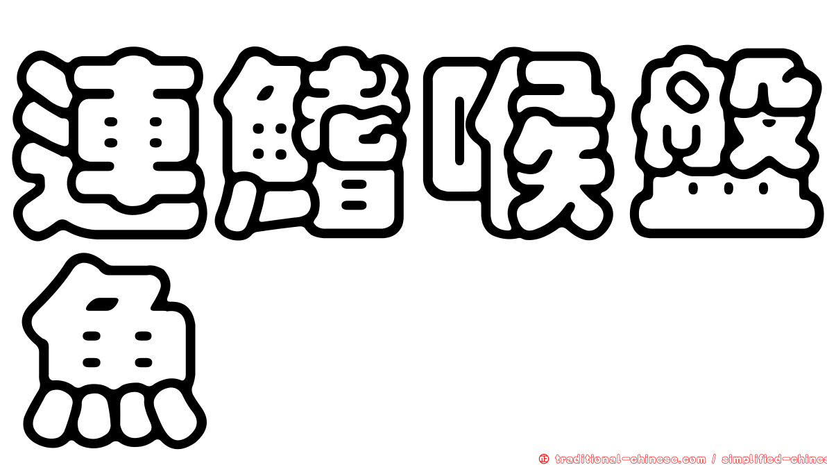 連鰭喉盤魚