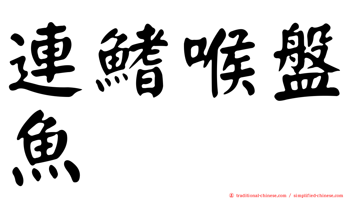 連鰭喉盤魚