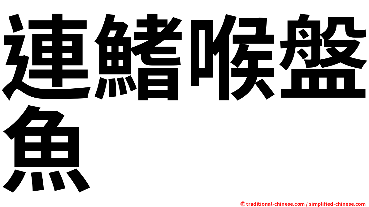 連鰭喉盤魚