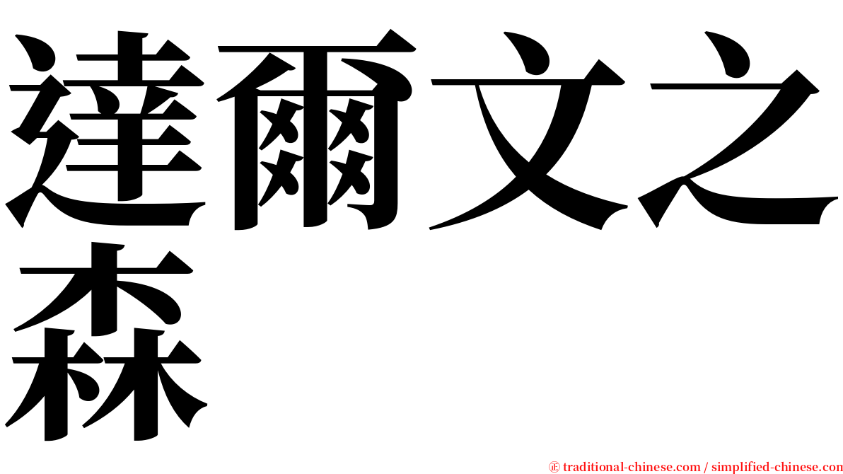 達爾文之森 serif font