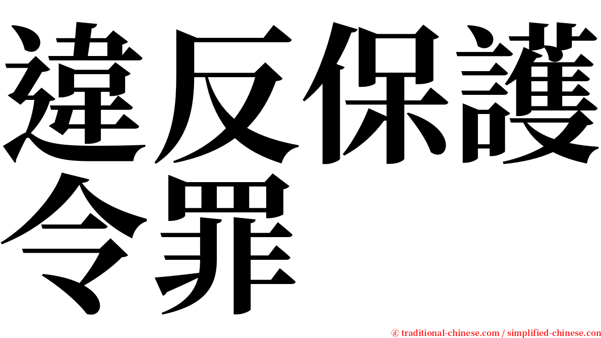 違反保護令罪 serif font