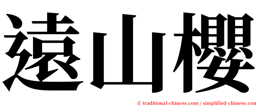 遠山櫻 serif font