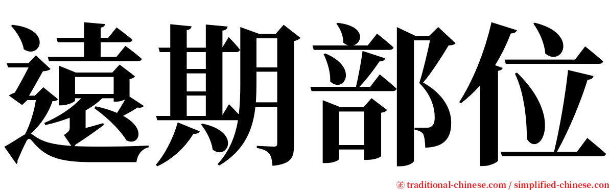 遠期部位 serif font