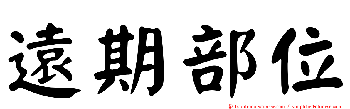 遠期部位