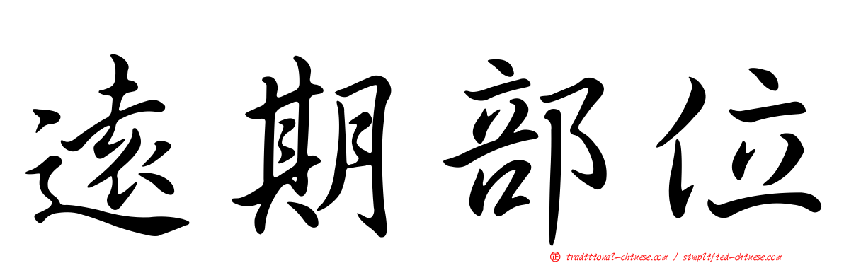 遠期部位