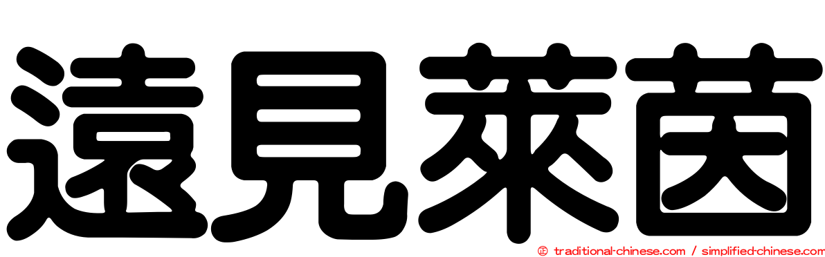 遠見萊茵