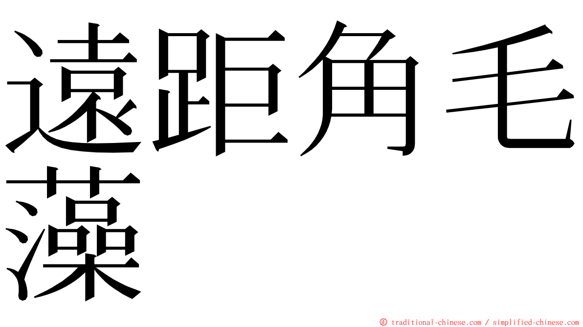遠距角毛藻 ming font