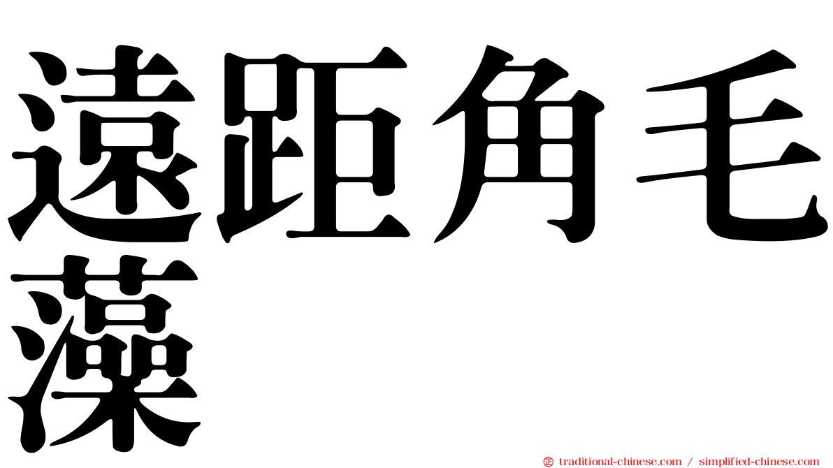 遠距角毛藻