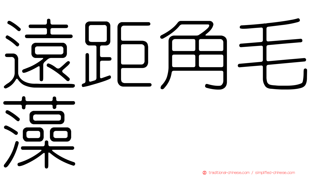 遠距角毛藻