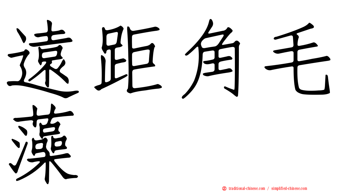 遠距角毛藻