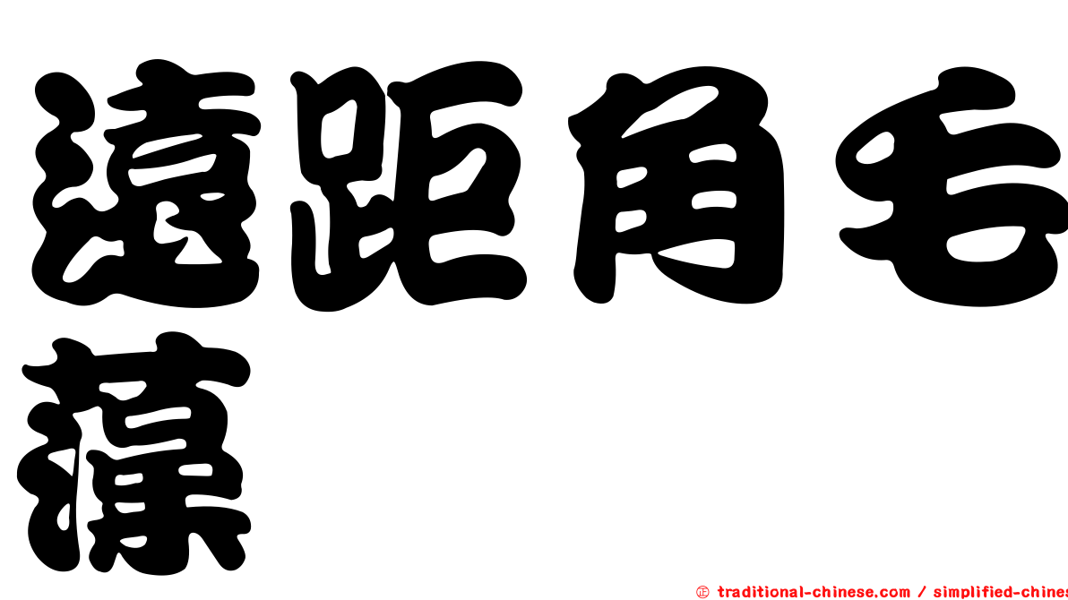 遠距角毛藻