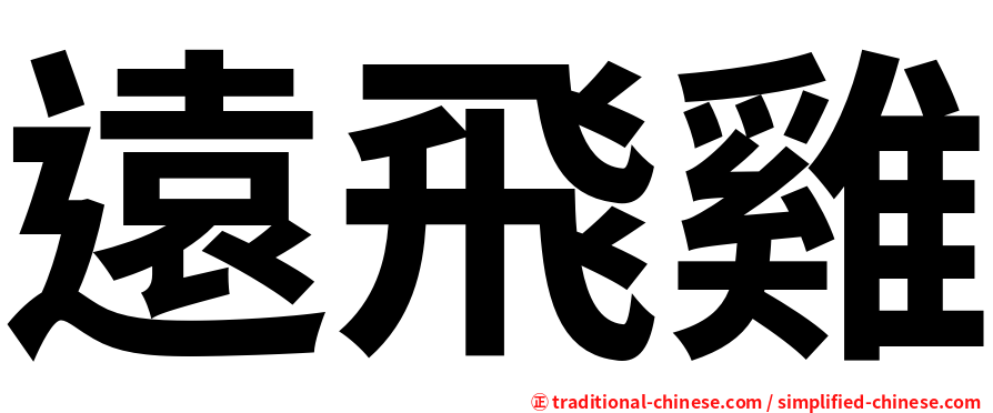 遠飛雞