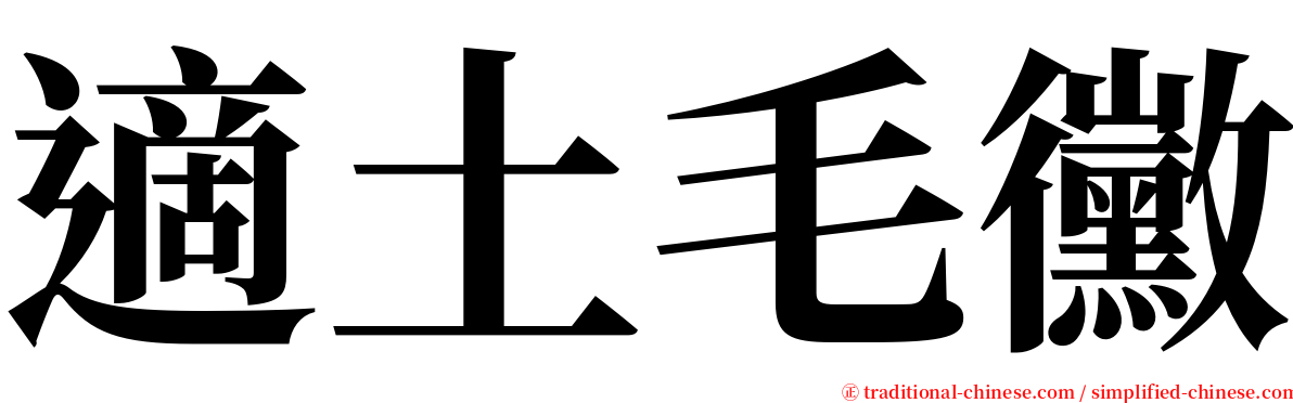 適土毛黴 serif font