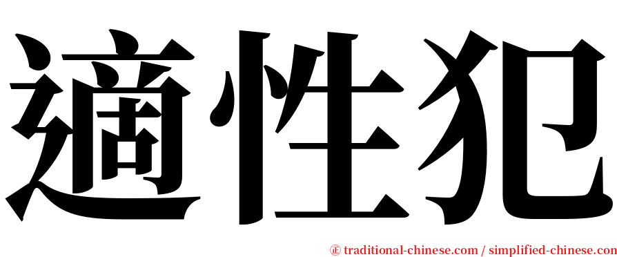 適性犯 serif font