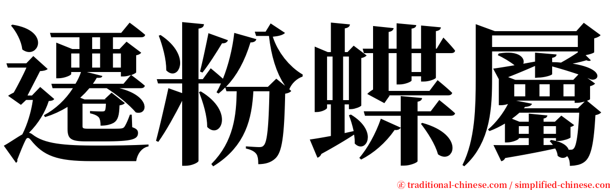 遷粉蝶屬 serif font