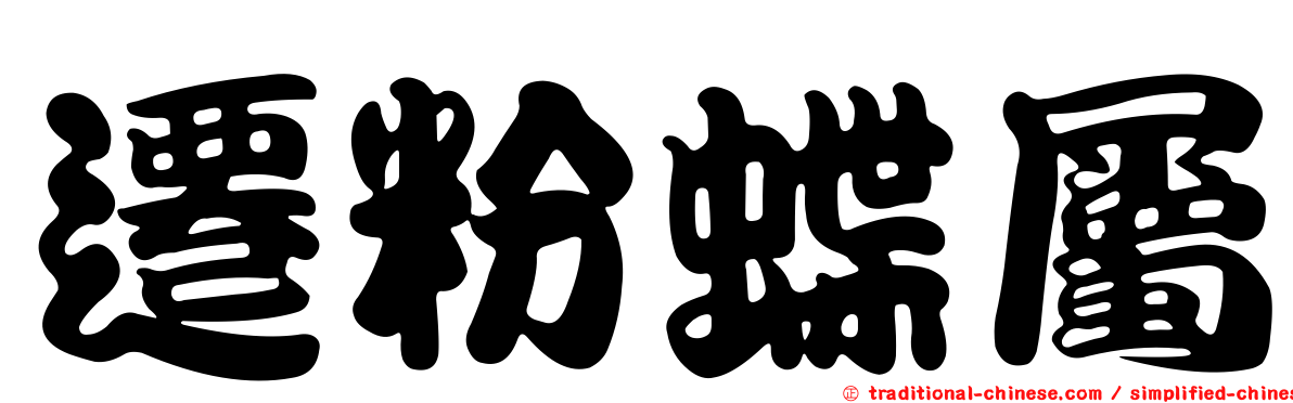 遷粉蝶屬