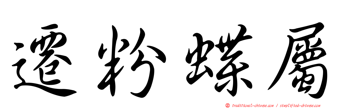 遷粉蝶屬