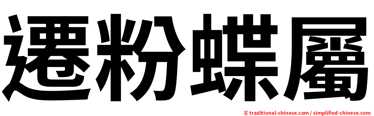 遷粉蝶屬
