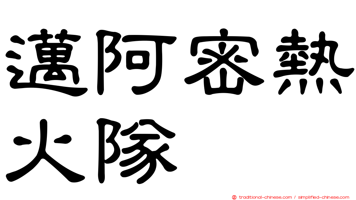 邁阿密熱火隊