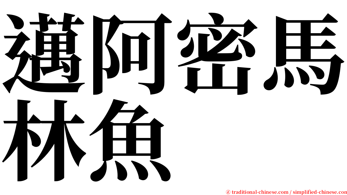 邁阿密馬林魚 serif font