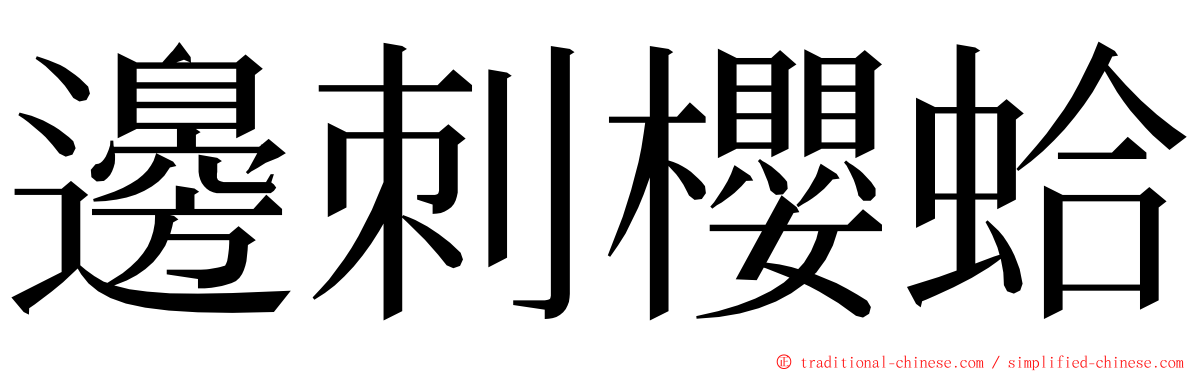邊刺櫻蛤 ming font