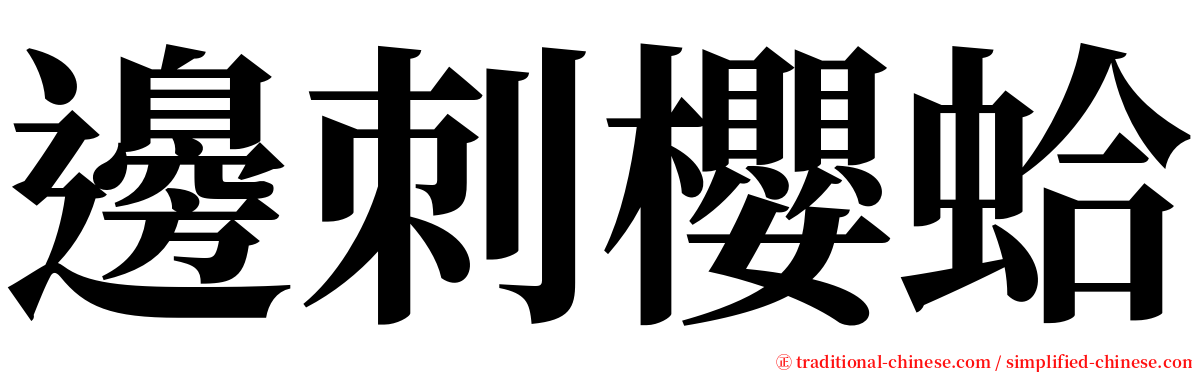 邊刺櫻蛤 serif font