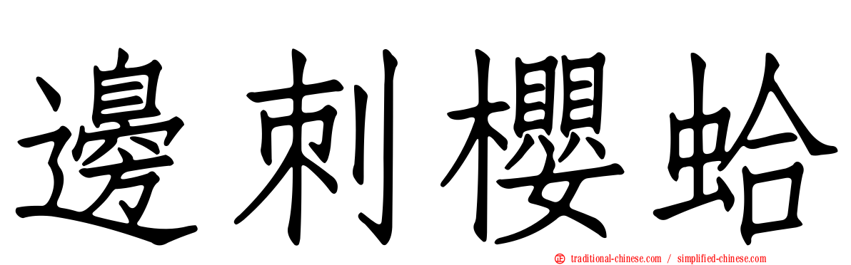 邊刺櫻蛤