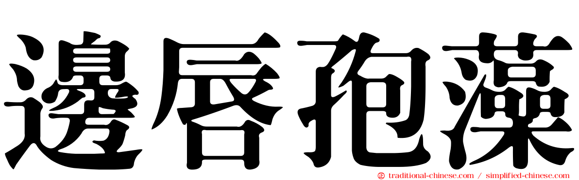 邊唇孢藻