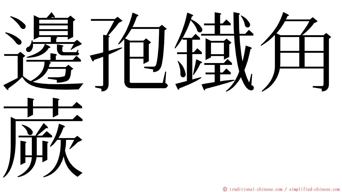 邊孢鐵角蕨 ming font
