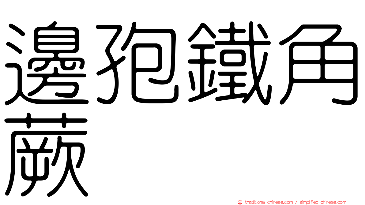 邊孢鐵角蕨