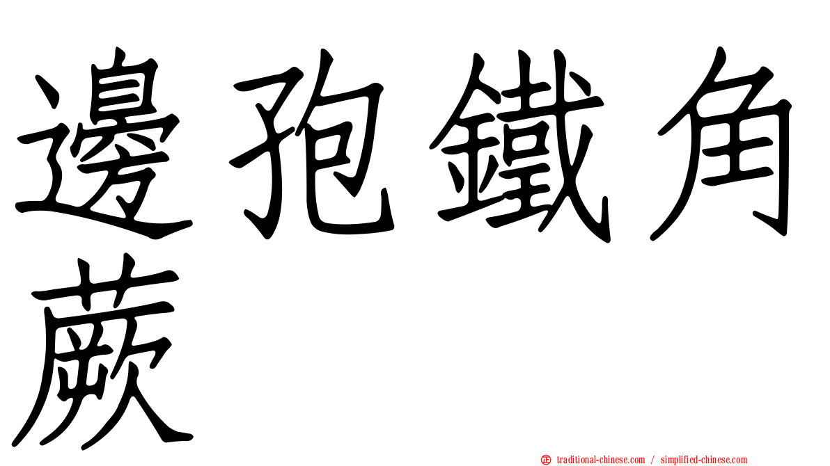 邊孢鐵角蕨