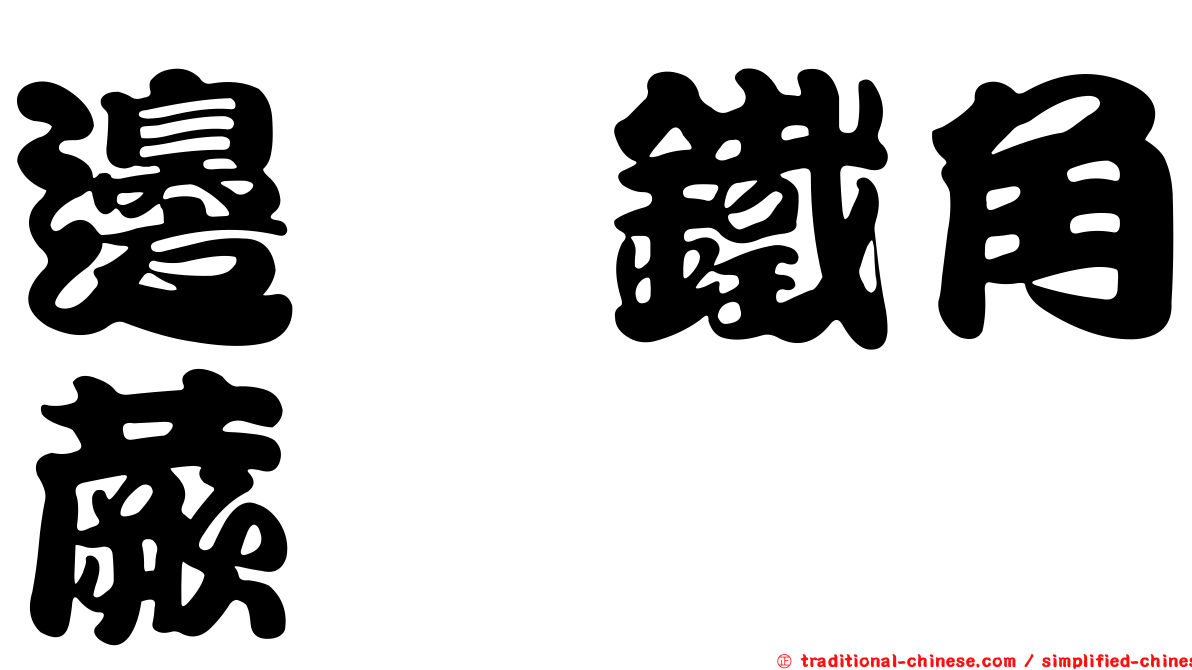 邊孢鐵角蕨