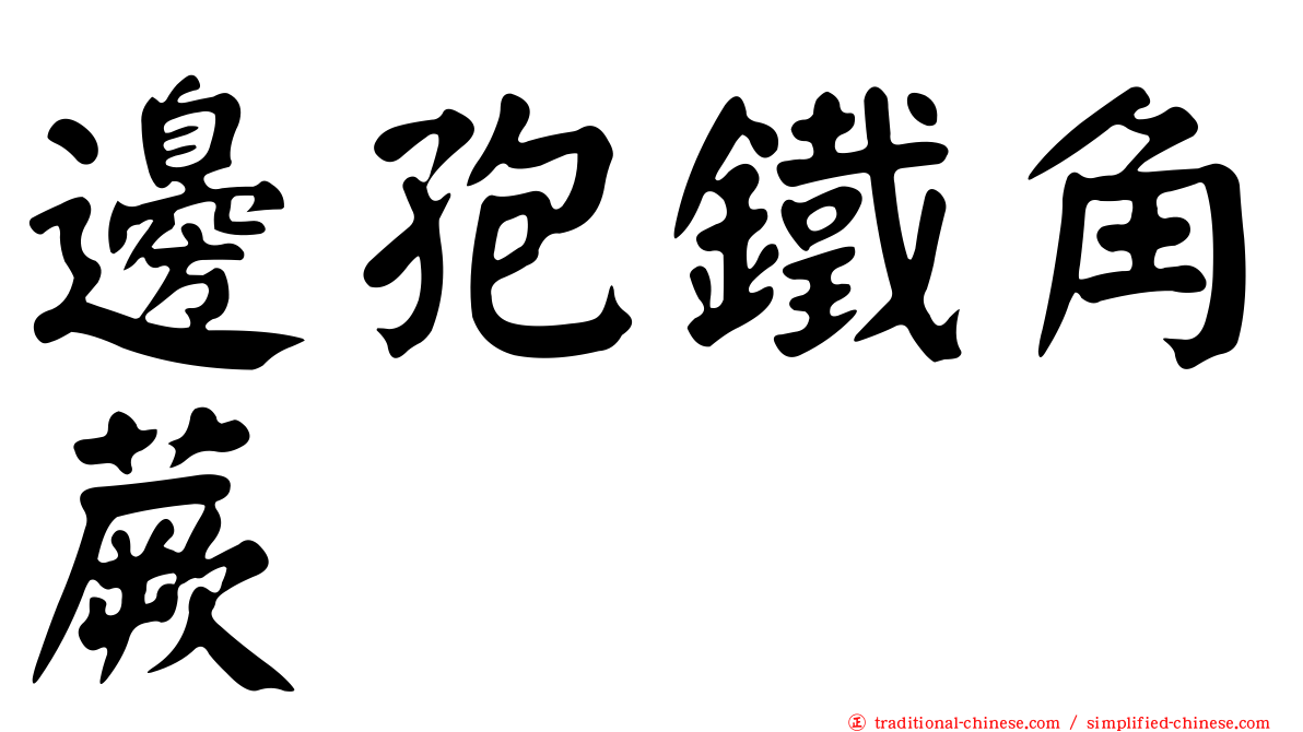 邊孢鐵角蕨