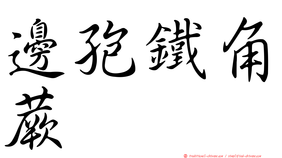 邊孢鐵角蕨