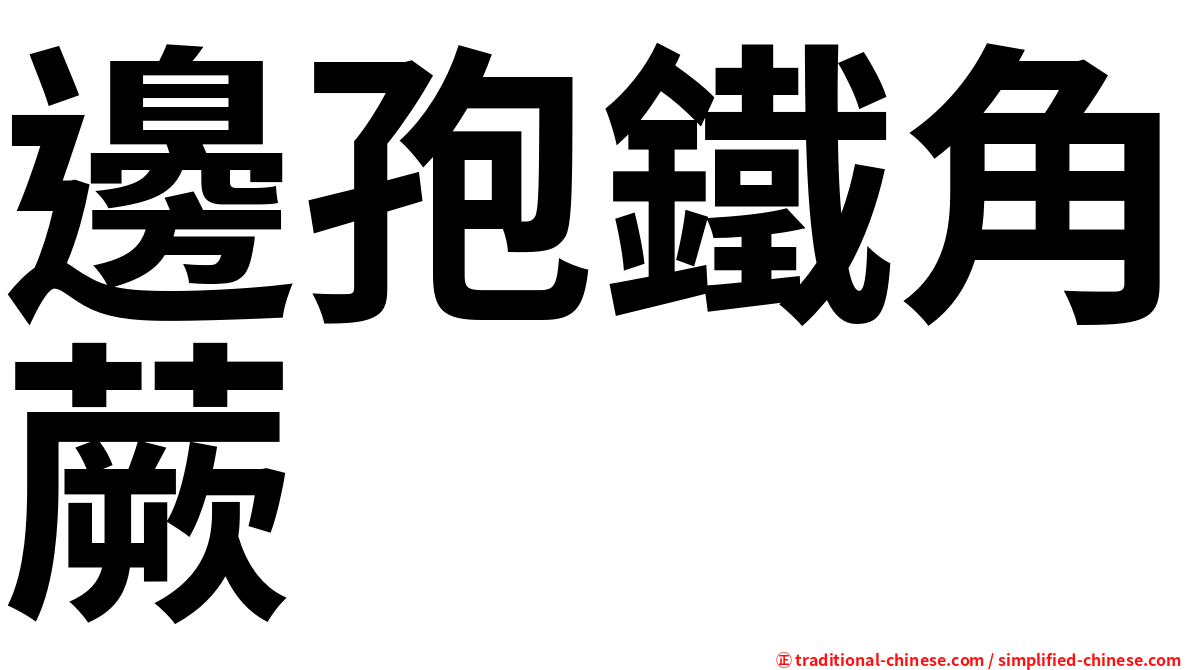 邊孢鐵角蕨