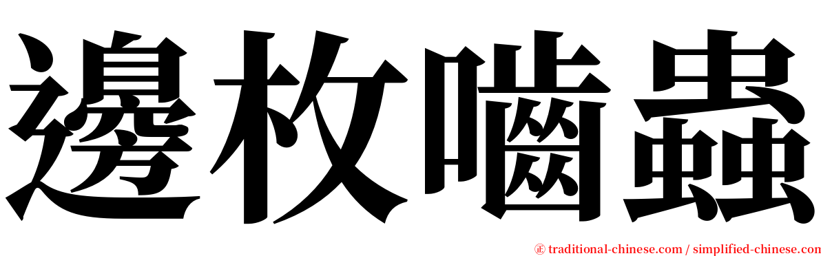 邊枚嚙蟲 serif font