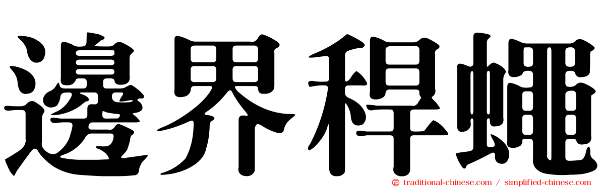 邊界稈蠅