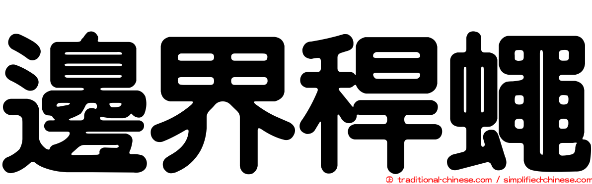 邊界稈蠅