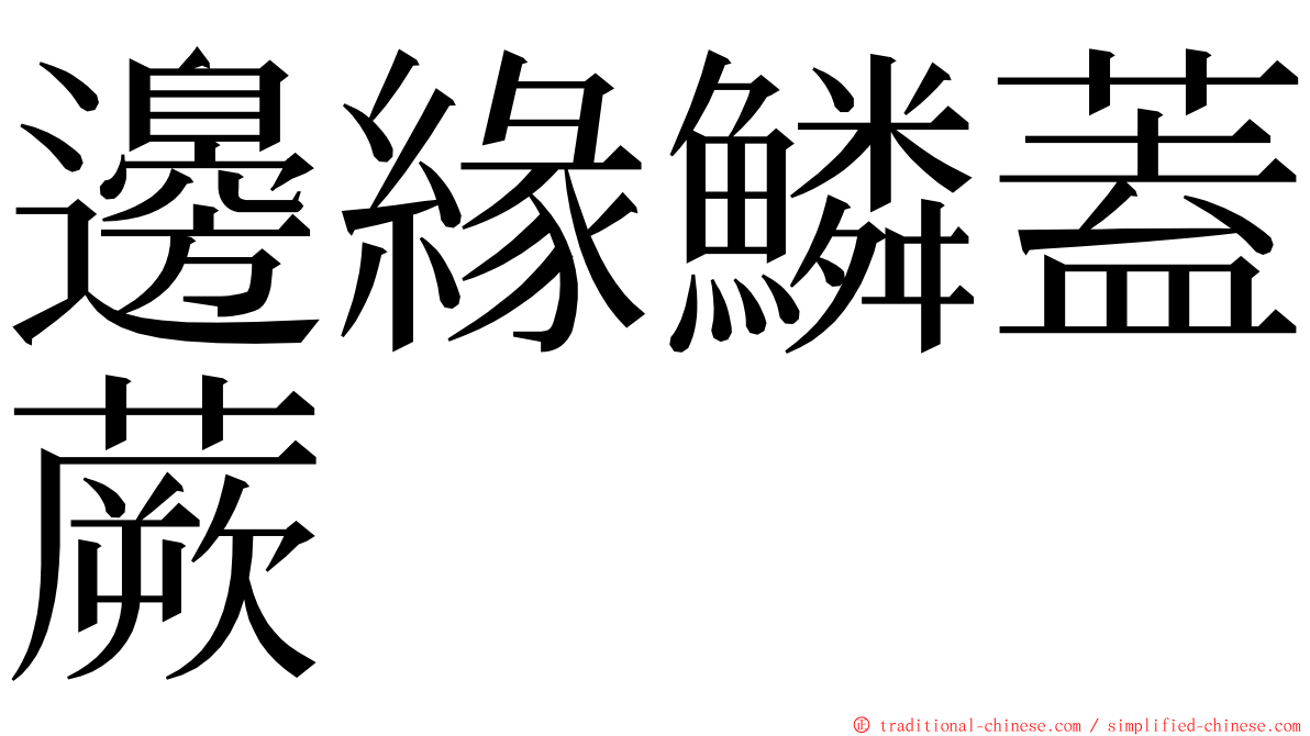 邊緣鱗蓋蕨 ming font