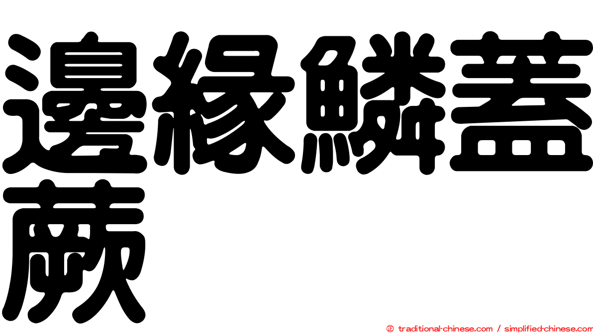邊緣鱗蓋蕨