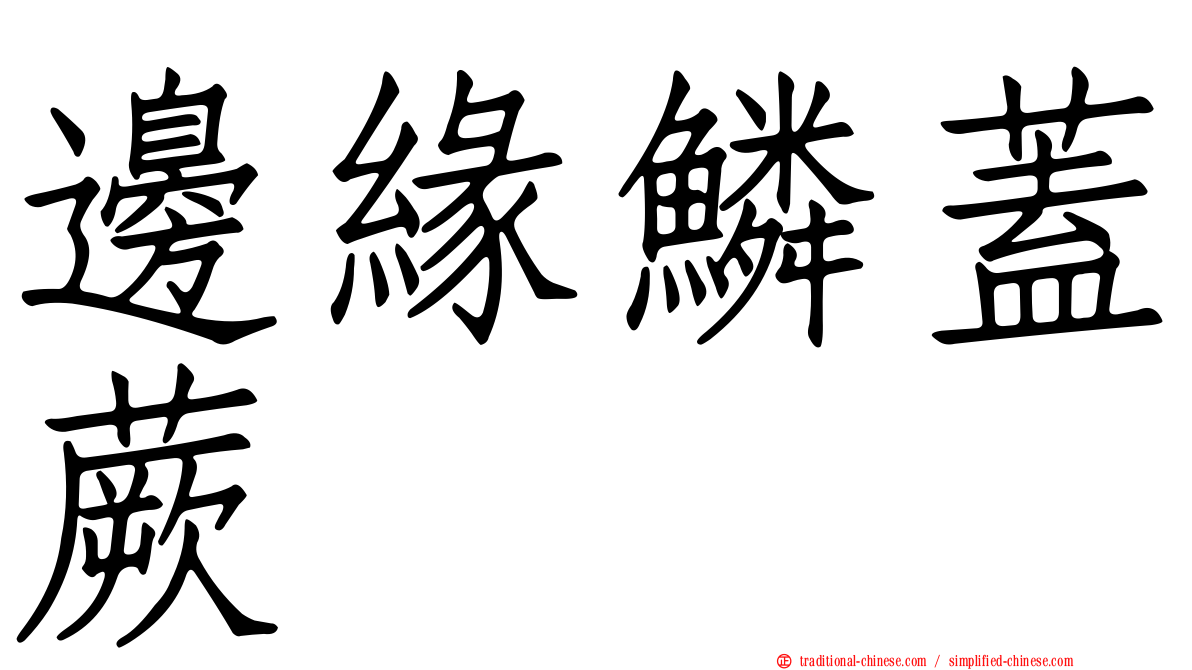 邊緣鱗蓋蕨
