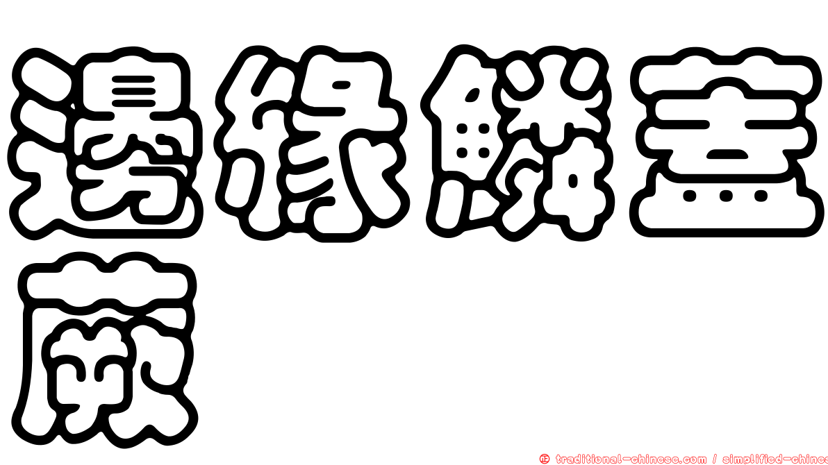 邊緣鱗蓋蕨