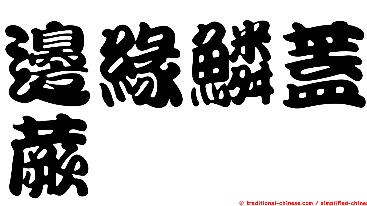 邊緣鱗蓋蕨