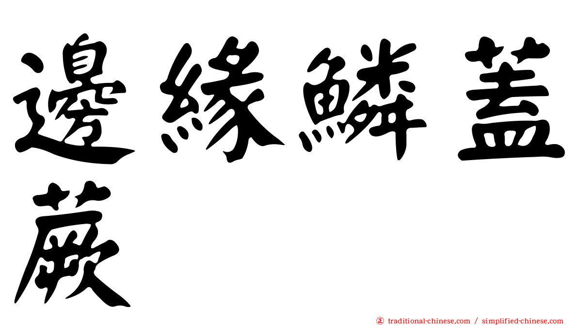 邊緣鱗蓋蕨