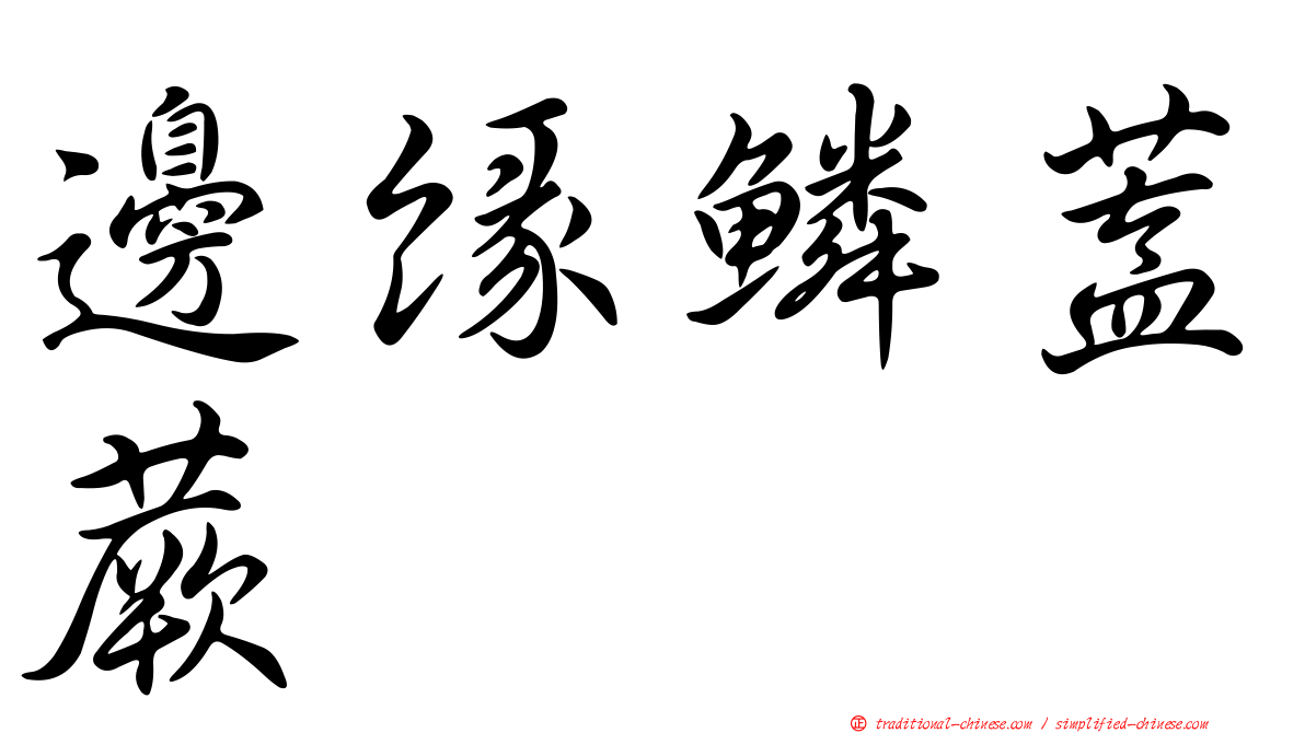 邊緣鱗蓋蕨