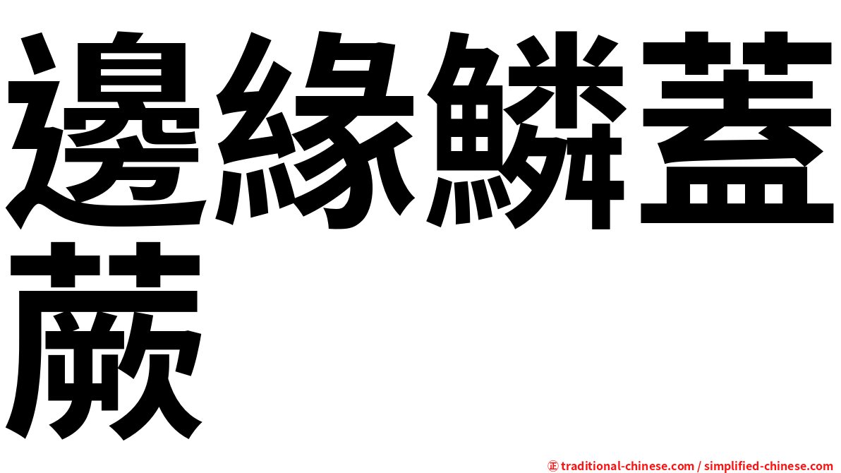 邊緣鱗蓋蕨