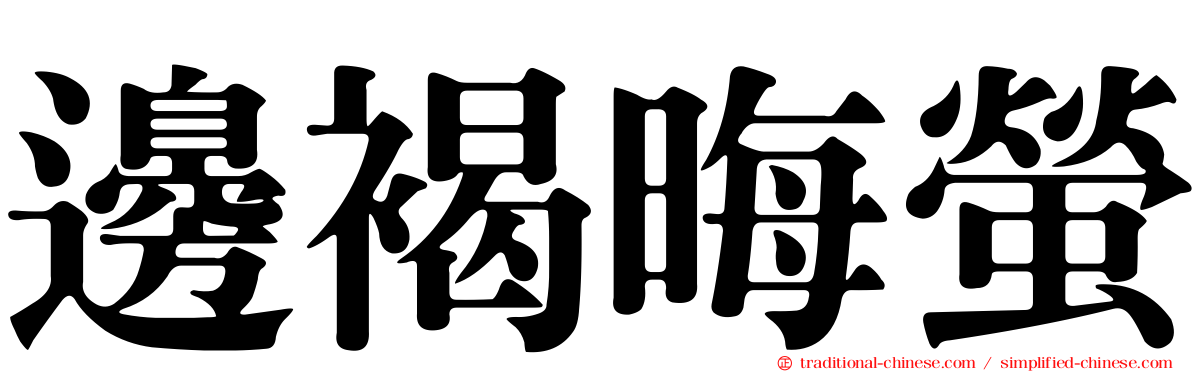 邊褐晦螢