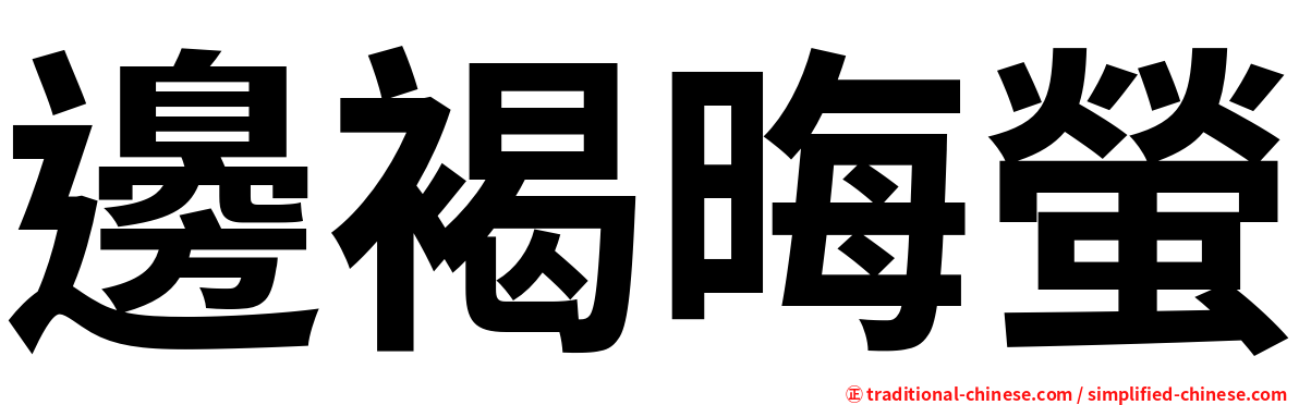 邊褐晦螢